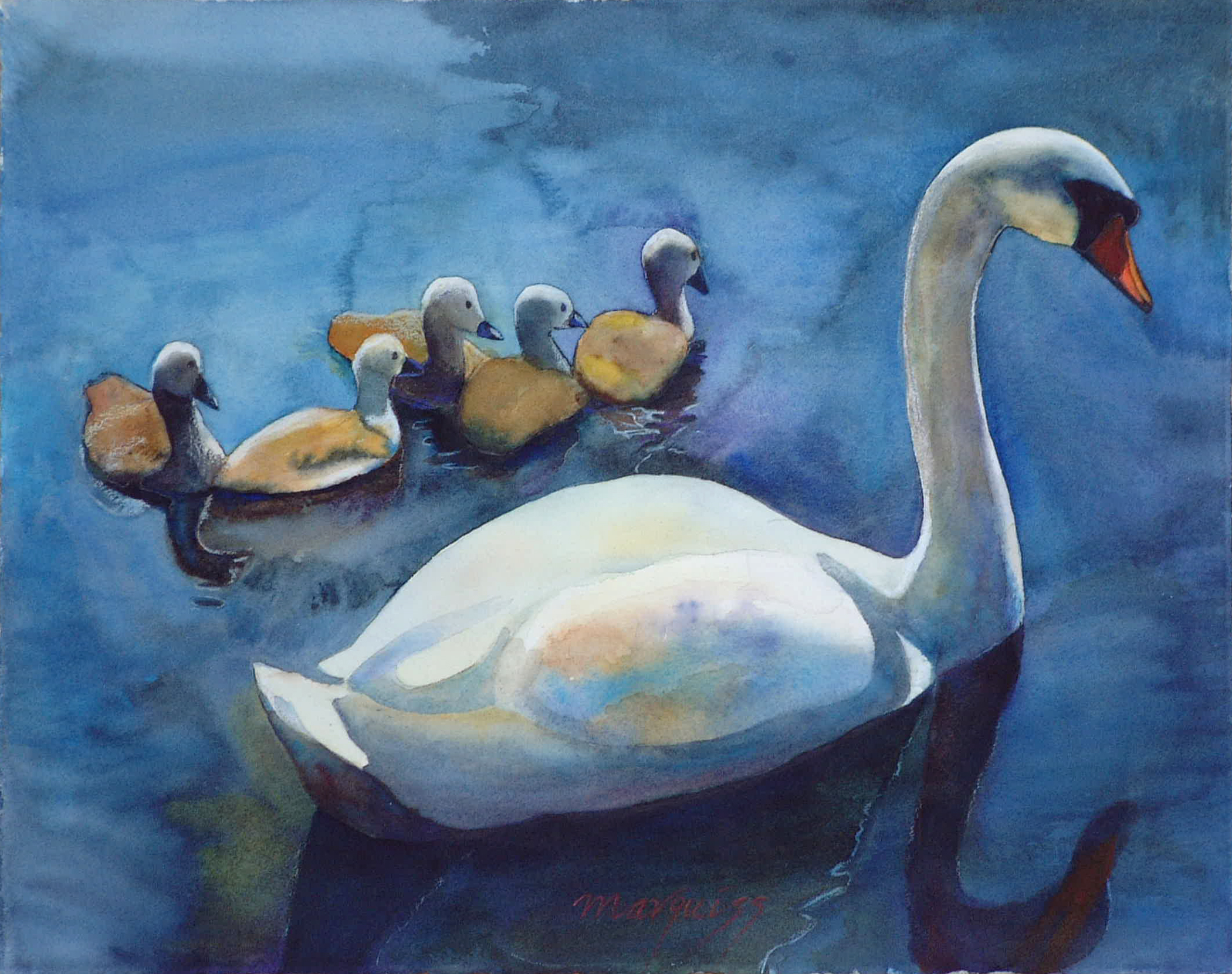 Swans